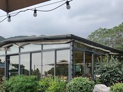 -蘇河湾·新鲁菜·泰山宴(泰山店)