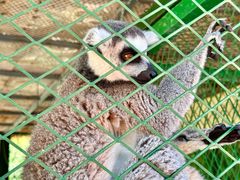 -水上乐园·欢乐世界