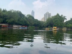 -晓港公园