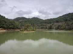 -广州白江湖森林公园