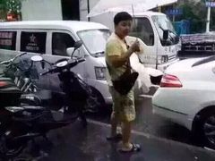 盛京一禾-盛京一禾