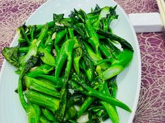 -欢乐海岸美食联盟