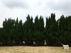-南沙蒲洲花园