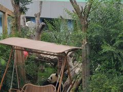 -青藏高原野生动物园
