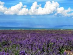 -青海湖国家重点风景名胜区