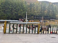 -苏木山森林公园