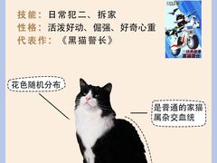-翊宠yipet猫狗购宠庄园犬舍•猫舍
