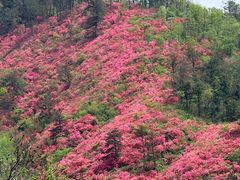 -木兰云雾山