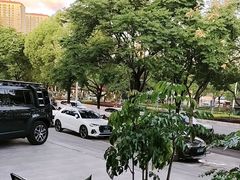 -金塔傣乡·云南民族特色菜·傣味手抓饭(金瓦路店)