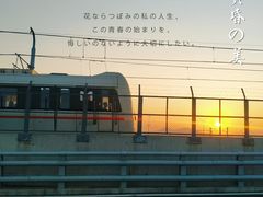 -海堤纪念公园