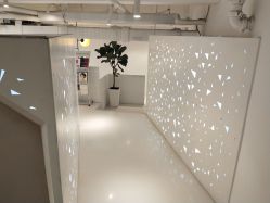 -I+造型烫发染发