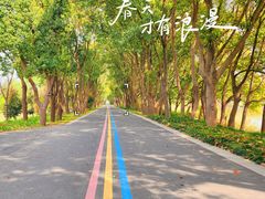 -同里国家湿地公园