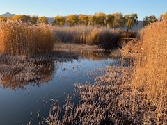 -野鸭湖国家湿地公园