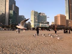 -海云台海滩