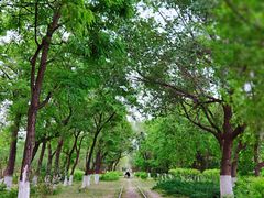 -永定河休闲森林公园