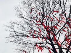 -凤翔首邑温泉度假村