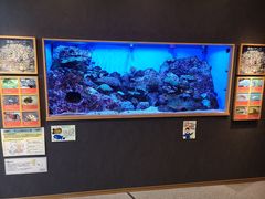 -西海国立公园九十九岛水族馆