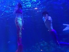 -华夏文旅海洋公园