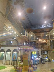 -卡通尼·Safari非洲探索乐园·生日会(金桥国际商业广场店)