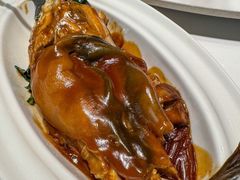 -新光酒家·河豚·海鲜·蟹料理(浦东店)