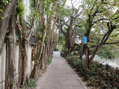 -潮州西湖
