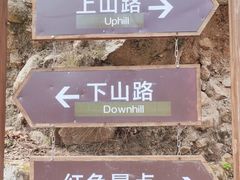 -大岭沟猕猴桃谷风景区