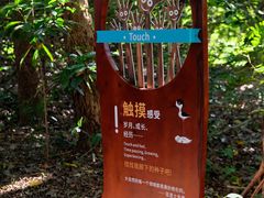 -华侨城湿地公园