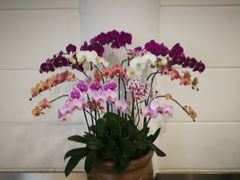 -厦门高崎国际机场-T3航站楼