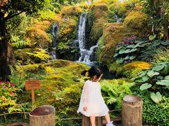 -Chom Cafe and Restaurant