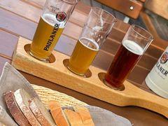 -Paulaner·德国帕拉娜自酿啤酒餐厅(海上世界店)