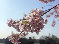 -新江湾城公园