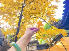 -无锡惠山寺