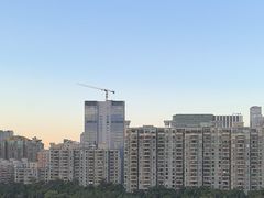 -小茶闲舍·观景商务茶馆(广州塔店)