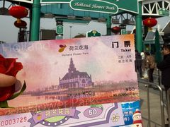 -荷兰花海