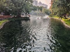 -晓港公园
