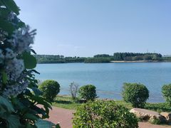 -丁香湖公园