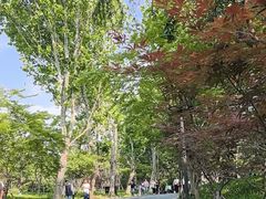 -吴淞炮台湾湿地森林公园烧烤区
