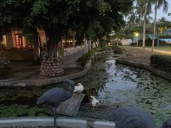 -三亚亚龙湾天域度假酒店