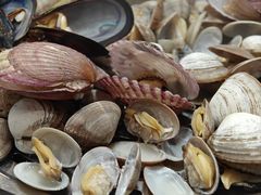 -蒸唯鲜·蒸汽海鲜融合菜(曙光西路店)