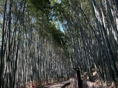 -杭州黄龙洞