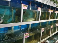 水产区-鑫悦楼煎蟹·16年海鲜大排档