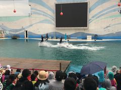 -北戴河圣蓝海洋公园