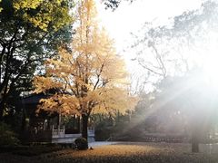 -汇龙潭