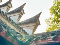 -天一阁博物院