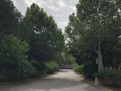 -北京大学(昌平校区)
