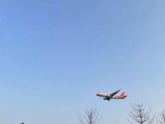 -空港花田景区