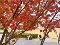 -嘉北郊野公园