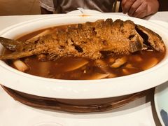 -阿五黄河大鲤鱼(英协路店)