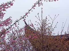 -堤角公园