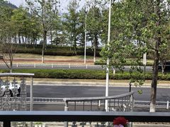 -宝荣鱼馆·临湖之宴(千岛湖店)